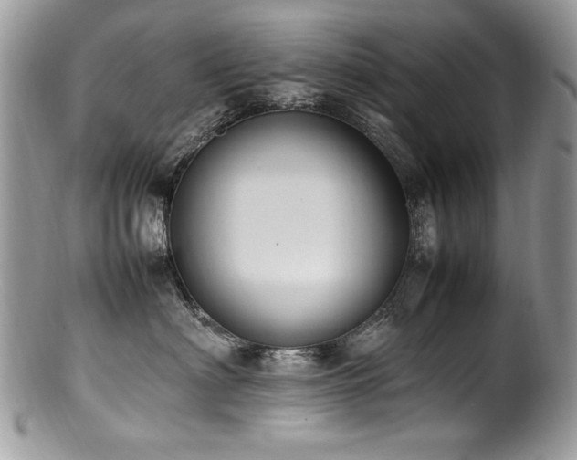 X0000100850622200806201215