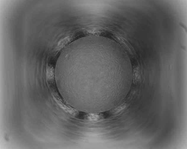 X0000100850623200806201215