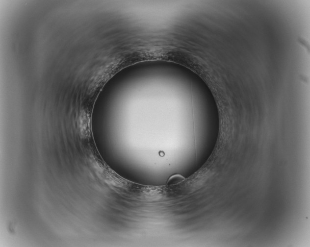 X0000100850624200806201215