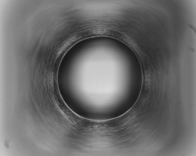 X0000100850626200806201215