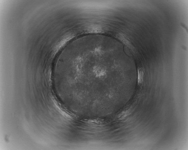 X0000100850627200806201215