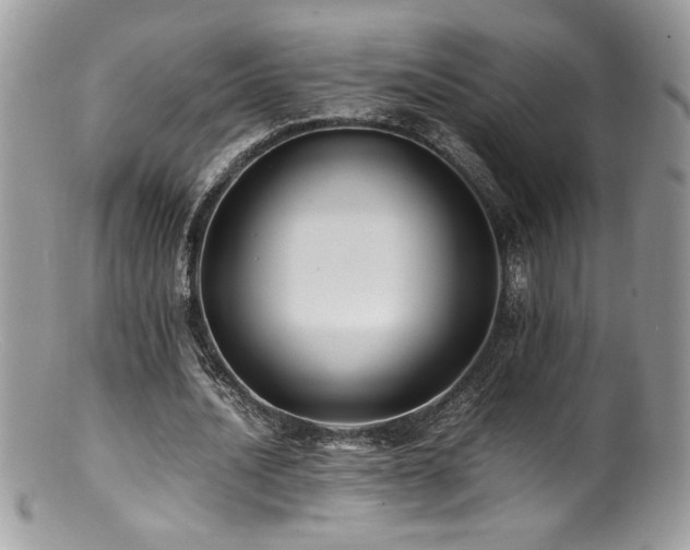 X0000100850628200806201215