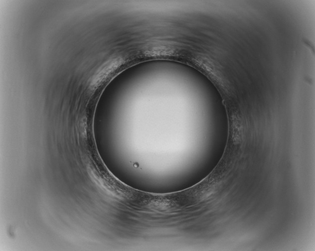 X0000100850631200806201215