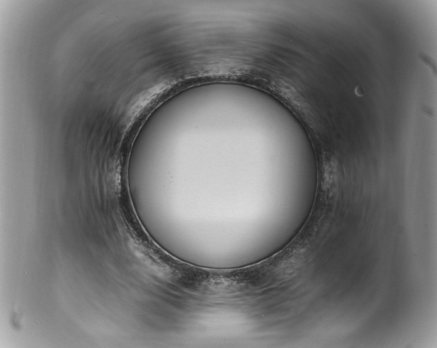 X0000100850632200806201215