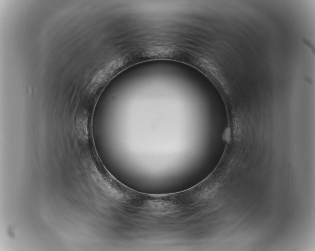 X0000100850633200806201215