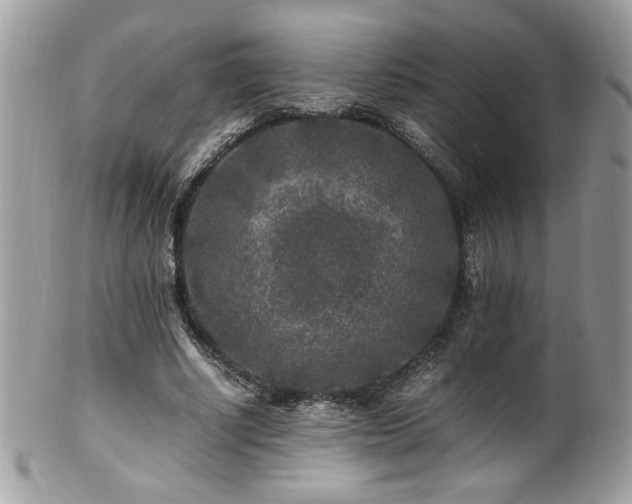 X0000100850634200806201215