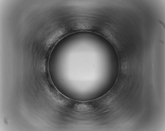 X0000100850635200806201215