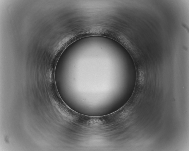 X0000100850636200806201215