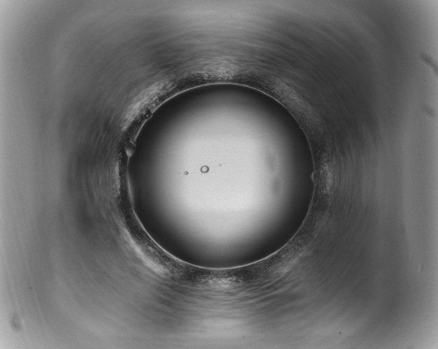 X0000100850638200806201215