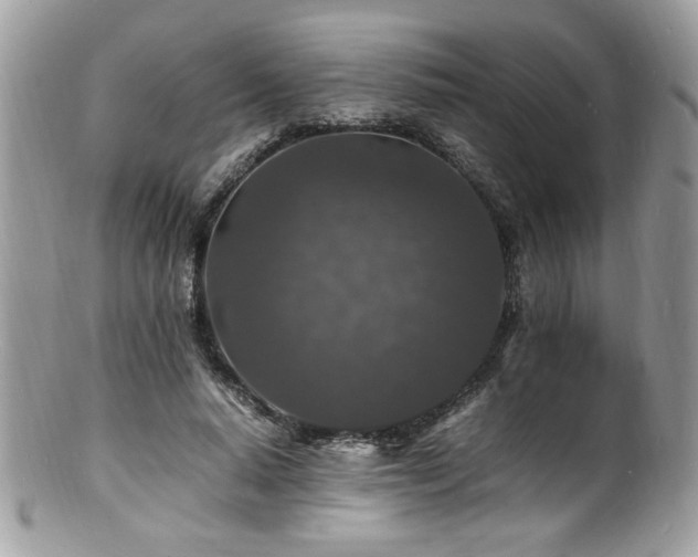X0000100850640200806201215