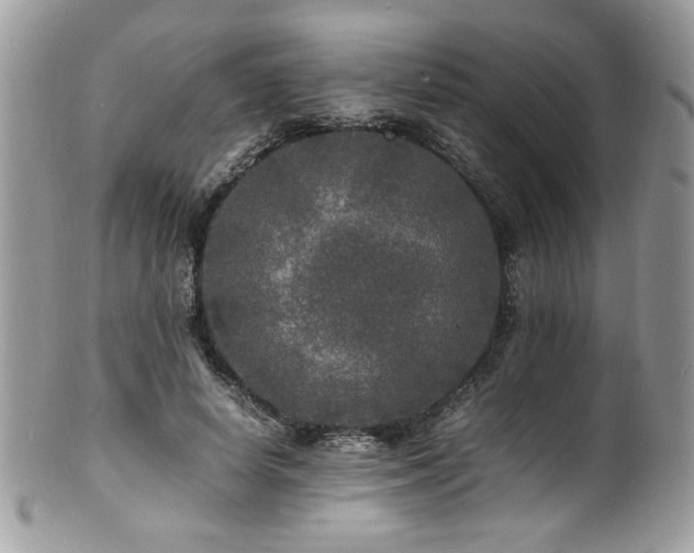 X0000100850642200806201215