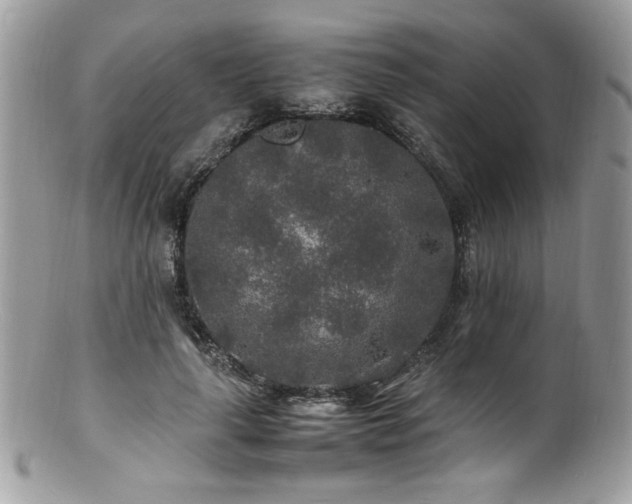 X0000100850643200806201215