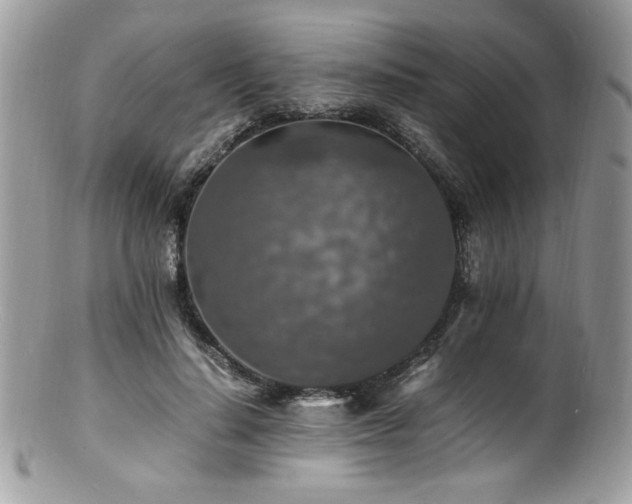 X0000100850644200806201215