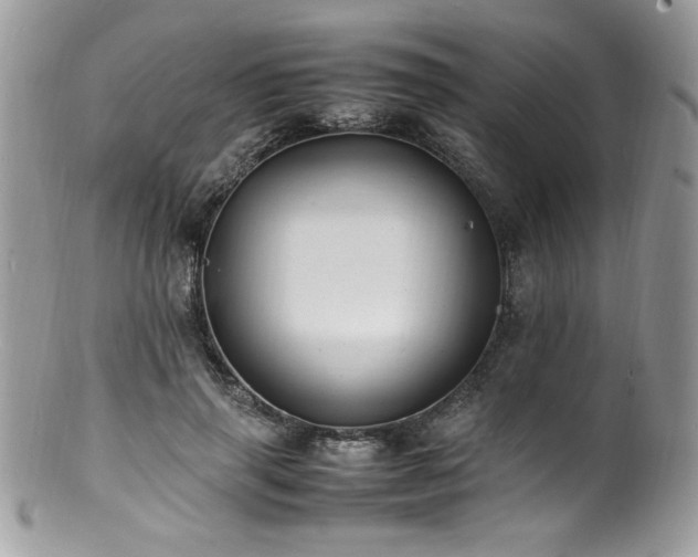X0000100850645200806201215