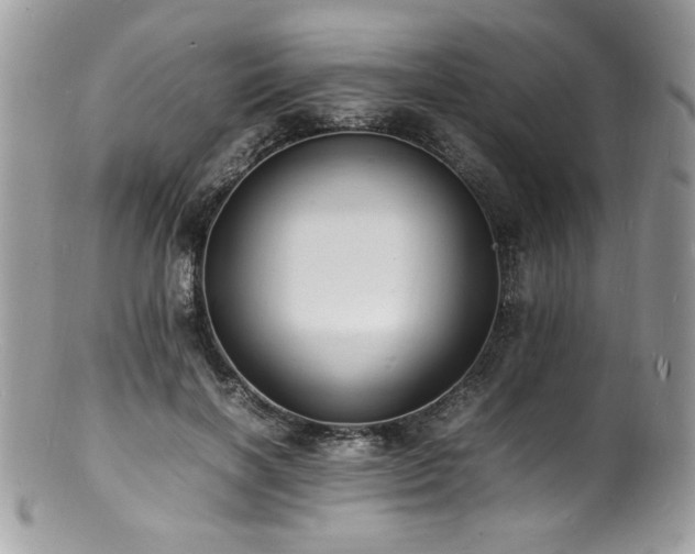 X0000100850646200806201215