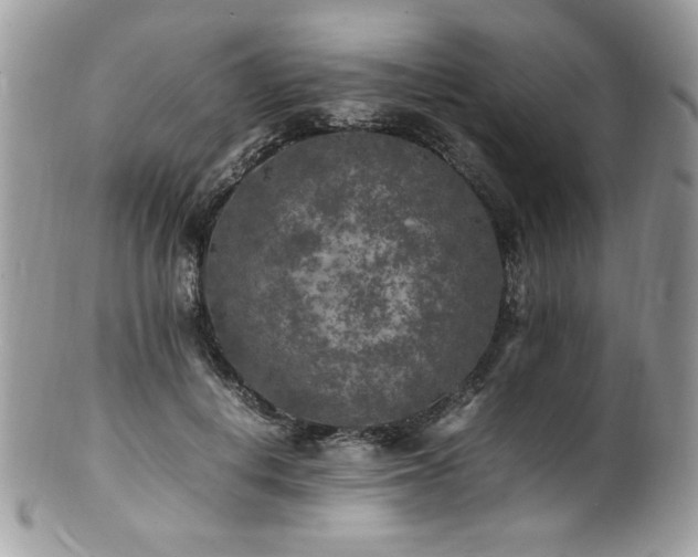 X0000100850648200806201215