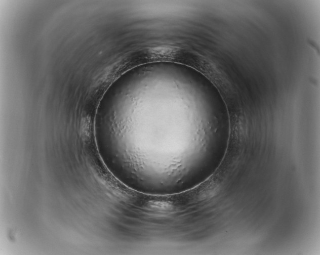 X0000100850649200806201215