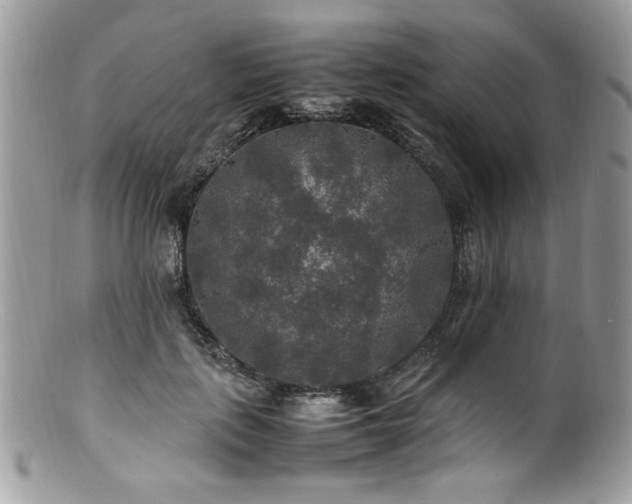X0000100850651200806201215