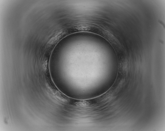 X0000100850652200806201215
