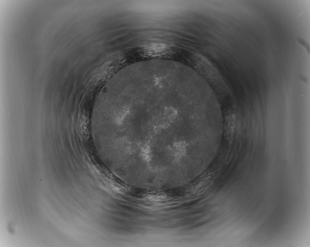 X0000100850653200806201215