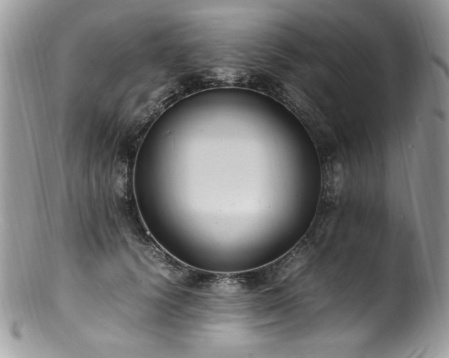 X0000100850656200806201215