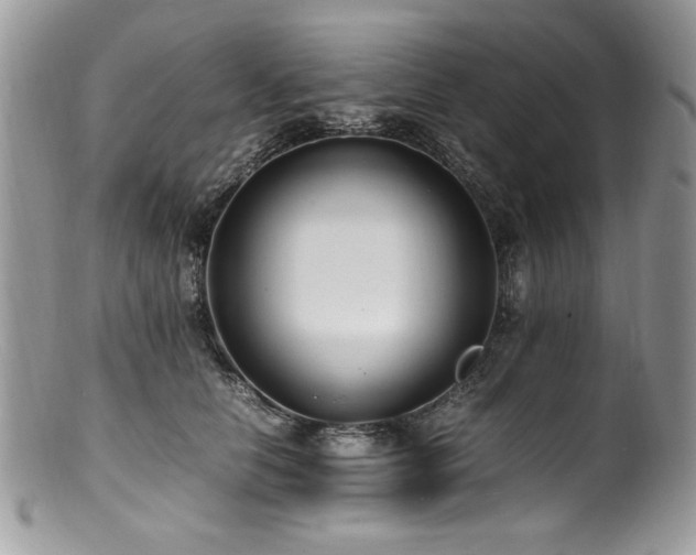 X0000100850658200806201215