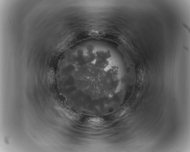 X0000100850659200806201215