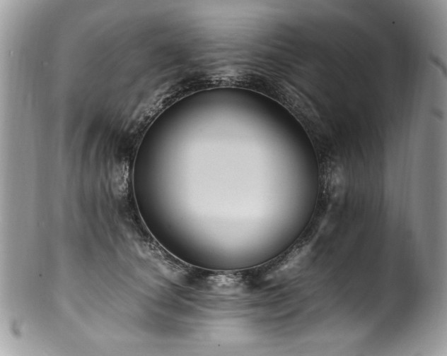 X0000100850660200806201215