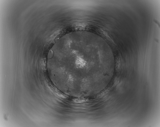 X0000100850661200806201215