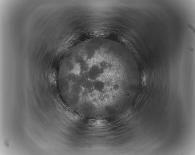 X0000100850663200806201215