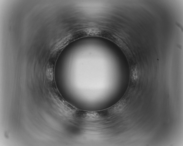 X0000100850666200806201215