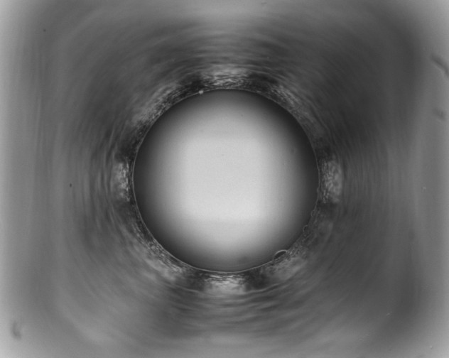 X0000100850667200806201215