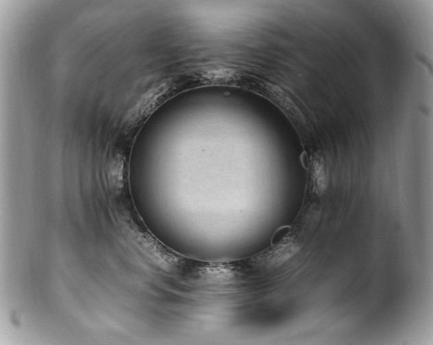 X0000100850668200806201215