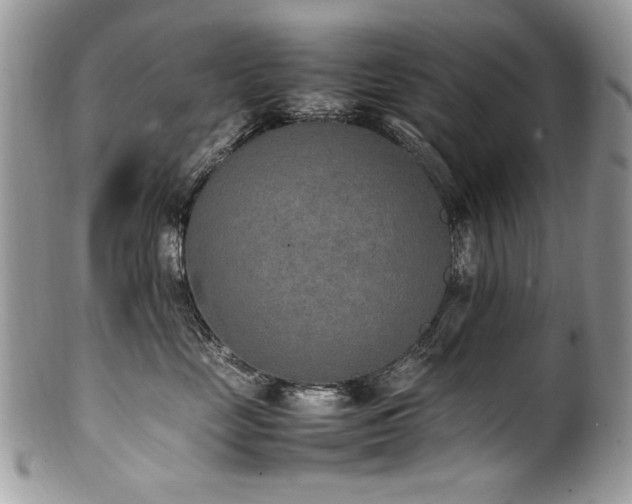 X0000100850669200806201215