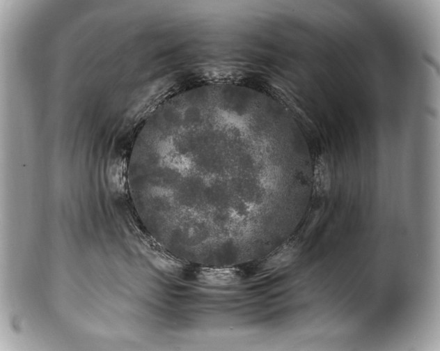 X0000100850671200806201215