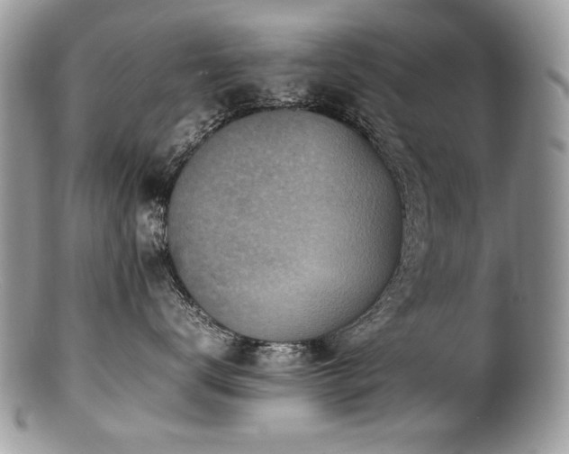 X0000100850672200806201215