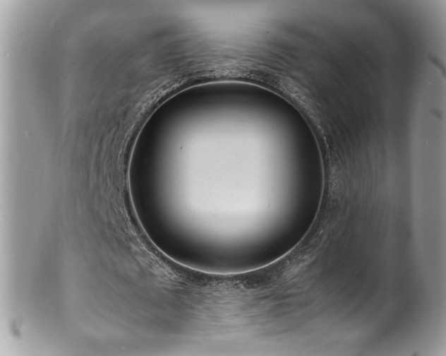 X0000100850673200806201215