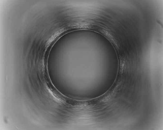 X0000100850674200806201214