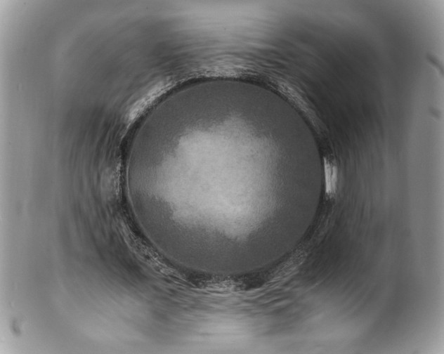 X0000100850675200806201214
