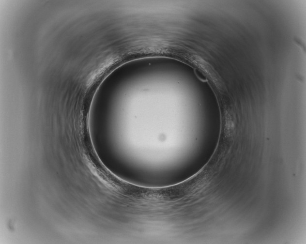 X0000100850677200806201214