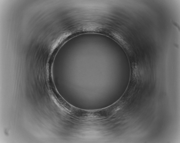 X0000100850678200806201214