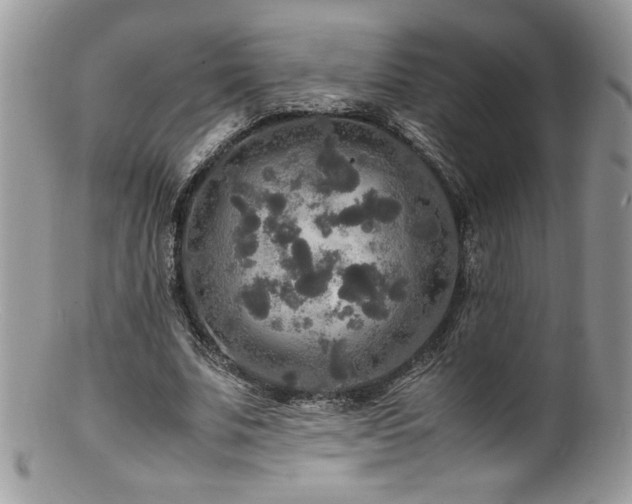 X0000100850679200806201214