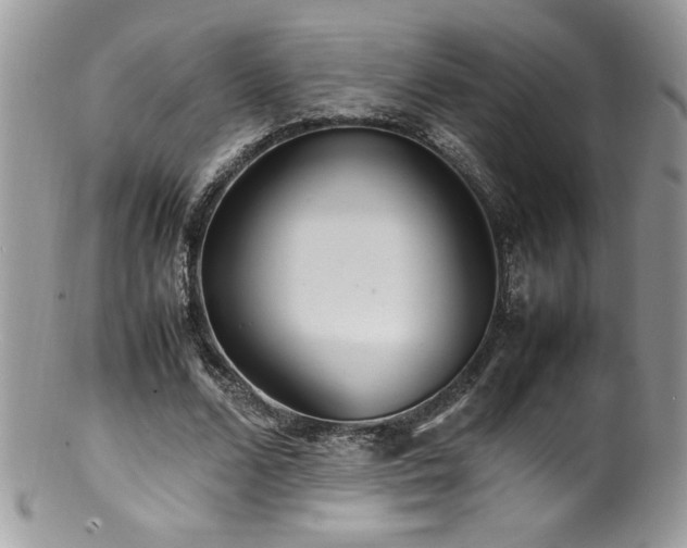 X0000100850680200806201214