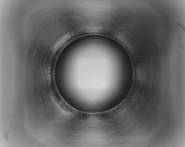 X0000100850682200806201214