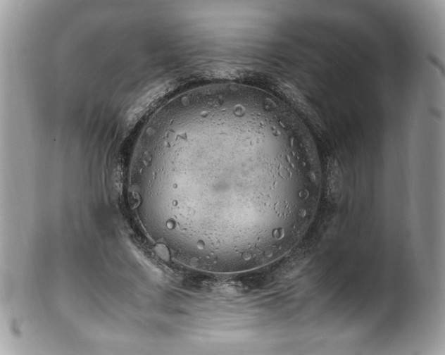 X0000100850683200806201214