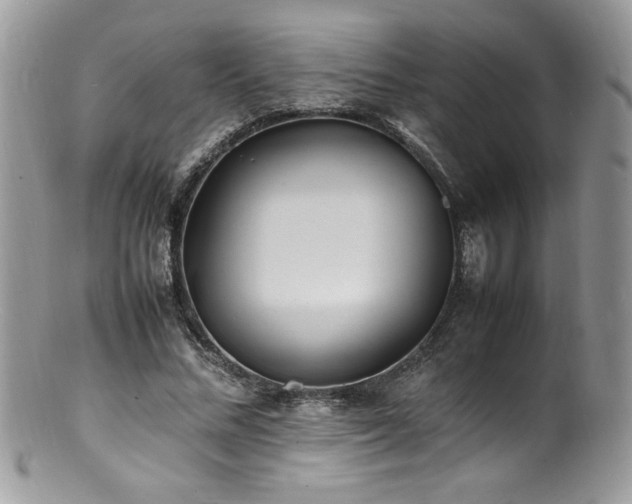 X0000100850684200806201214