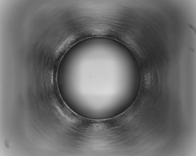X0000100850686200806201214