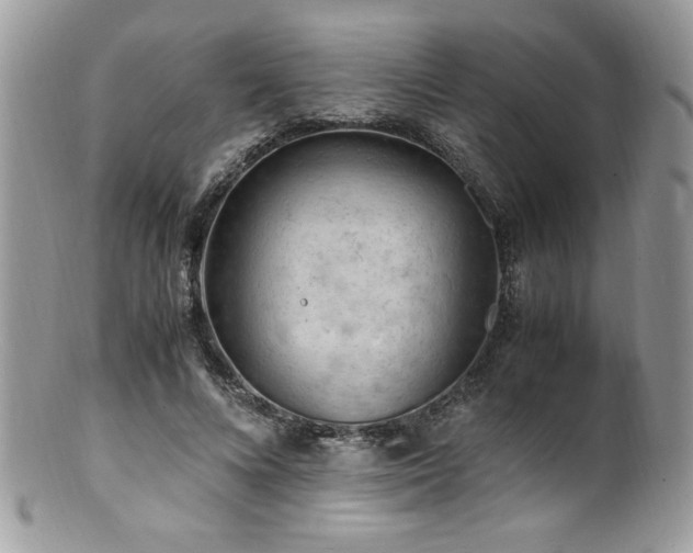X0000100850688200806201214