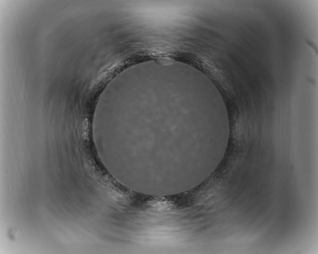 X0000100850689200806201214