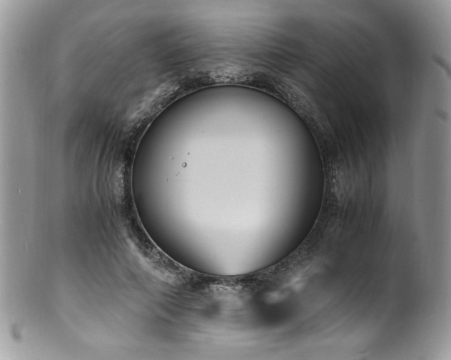 X0000100850690200806201214